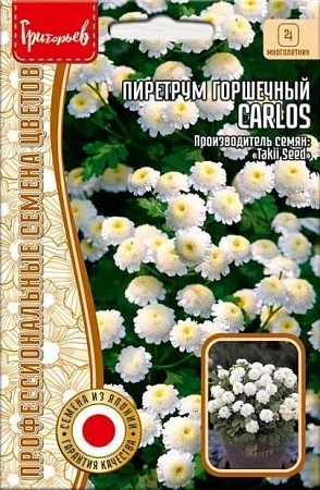 Пиретрум горшечный Carlos многолетник, 10 шт (Ред.сем)