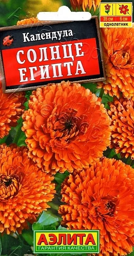 Календула Солнце египта махровая 0,5 г (АЭЛИТА) Календула Солнце египта махровая 0,5 г (АЭЛИТА)