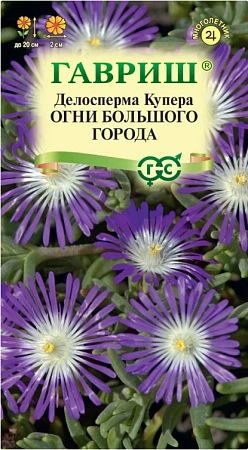 Делосперма Огни большого города, 7 шт (ГАВРИШ)