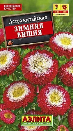 Астра Зимняя вишня помпонная 0,2 г (АЭЛИТА)