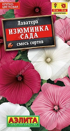 Лаватера Изюминка сада, смесь 0,05 г Лаватера Изюминка сада, смесь 0,05 г