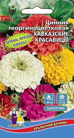 Цинния Кавказские Красавицы (УД)