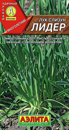 Лук слизун Лидер, 0,5 г (Аэлита)