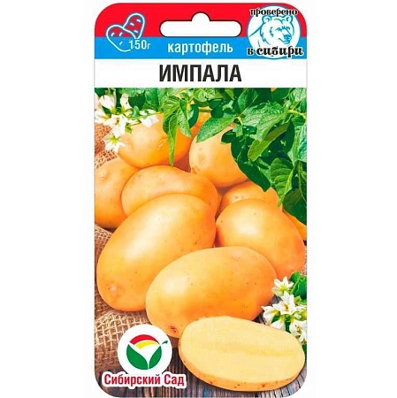 Картофель Импала 12 шт (Сиб Сад)