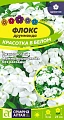 Флокс Красотка в белом друммонда 0,1 г Флокс Красотка в белом друммонда 0,1 г