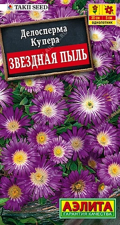 Делосперма Звездная пыль, 5 шт Делосперма Звездная пыль, 5 шт