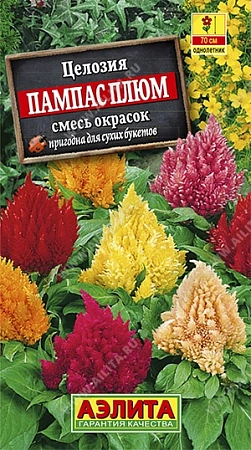 Целозия перистая Пампас Плюм, смесь 0,3 г (АЭЛИТА)