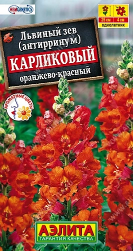 Львиный зев Карликовый оранжево-красный, 10 шт Львиный зев Карликовый оранжево-красный, 10 шт