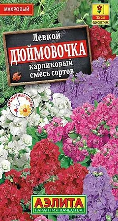 Левкой карликовый Дюймовочка, смесь 0,1 г (АЭЛИТА)