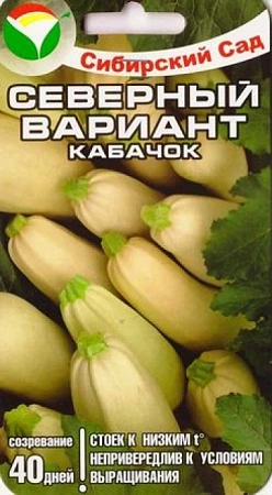 Кабачок Северный вариант 5 шт