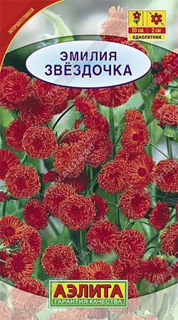 Эмилия Звездочка, 1 г Эмилия Звездочка, 1 г