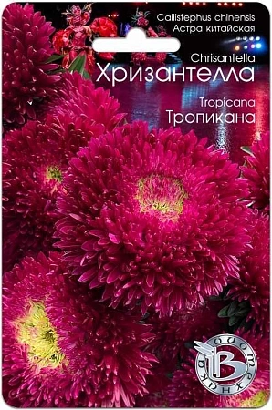 Астра Хризантелла Тропикана, 30 шт (Биотехника)