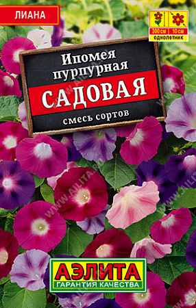 Ипомея пурпурная Садовая, смесь сортов 10 шт (Аэлита)