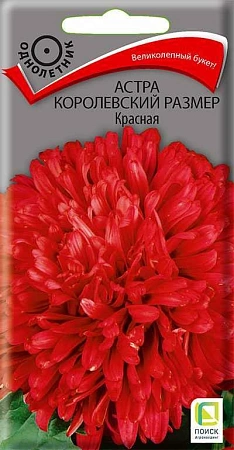 Астра королевский размер красная 0,1 г (Поиск)