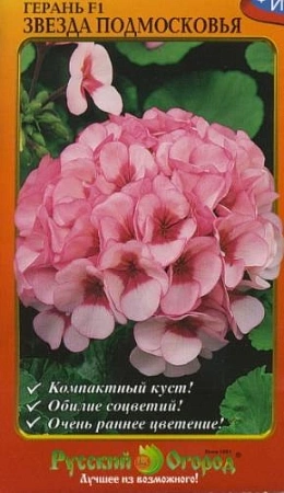 Пеларгония Звезда Подмосковья 5 шт