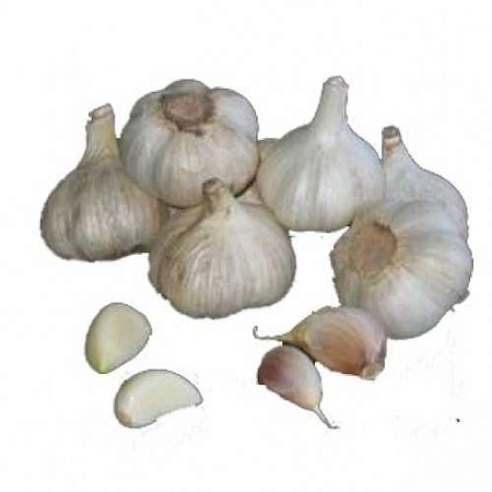 Чеснок озимый Полесский сувенир, 1 кг