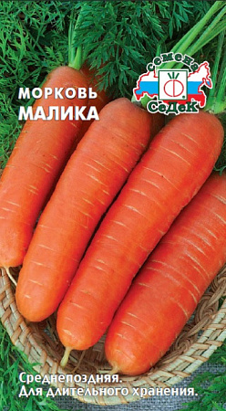Морковь Малика, 2 г (Седек)