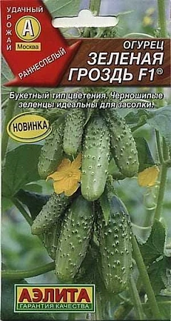 Огурец Зеленая гроздь F1, 10 шт (Аэлита) Огурец Зеленая гроздь F1, 10 шт (Аэлита)