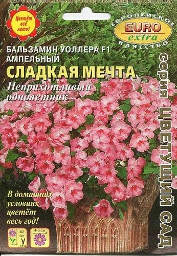 Бальзамин Уоллера F1 ампельный Сладкая мечта, 5 шт (EuroExtra) (Аэлита) Бальзамин Уоллера F1 ампельный Сладкая мечта, 5 шт (EuroExtra) (Аэлита)