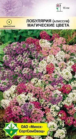 Лобулярия морская Магические цвета 0,2 г (МССО) Лобулярия морская Магические цвета 0,2 г (МССО)