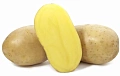 Картофель Вега семенной (элита), 5 кг Картофель Вега семенной (элита), 5 кг
