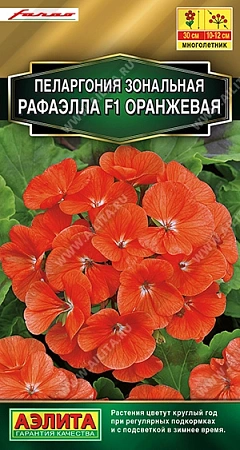 Пеларгония Рафаэлла F1 оранжевая, 5 шт (Аэлита)