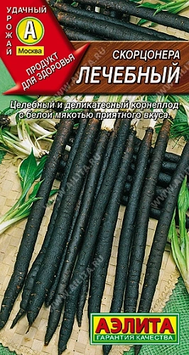 Скорцонера Лечебный Скорцонера Лечебный