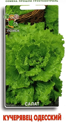 Салат Кучерявец Одесский 1 г (Поиск) Салат Кучерявец Одесский 1 г (Поиск)
