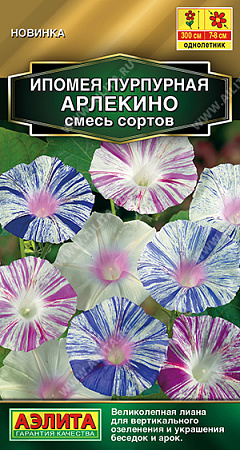 Ипомея пурпурная Арлекино, смесь сортов 9 шт (Аэлита)