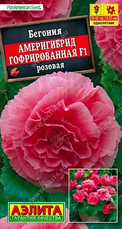 Бегония Америгибрид гофрированная F1 розовая, 5 шт (Аэлита)