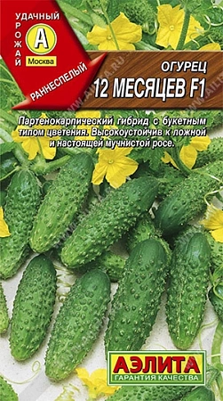 Огурец 12 месяцев F1, 10 шт (Аэлита) Огурец 12 месяцев F1, 10 шт (Аэлита)