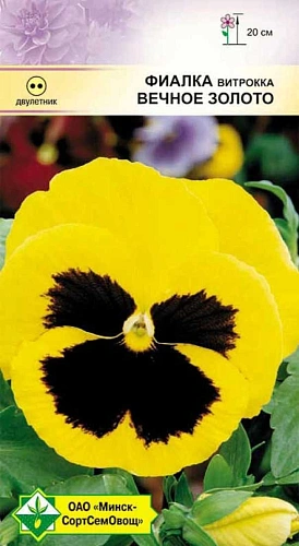 Фиалка Витрокка Вечное золото 0,1 г (МССО) Фиалка Витрокка Вечное золото 0,1 г (МССО)