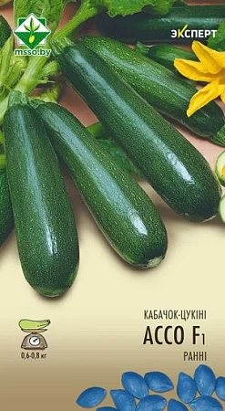 Кабачок Ассо F1, 6 шт (МССО)