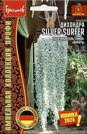 Дихондра Silver Surfer однолетник, 3 шт (Ред.Сем)