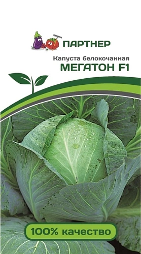 Капуста белокочанная Мегатон F1 (10 шт), 2-ной пак. Капуста белокочанная Мегатон F1 (10 шт), 2-ной пак.