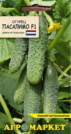 Огурец Пасалимо F1, 7 шт (Агромаркет)