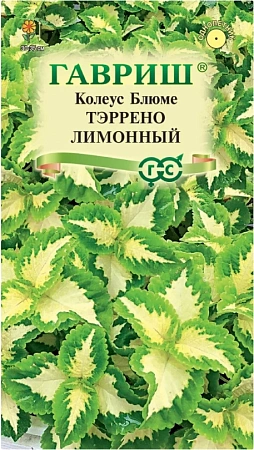 Колеус Тэррено лимонный 4 шт (ГАВРИШ)