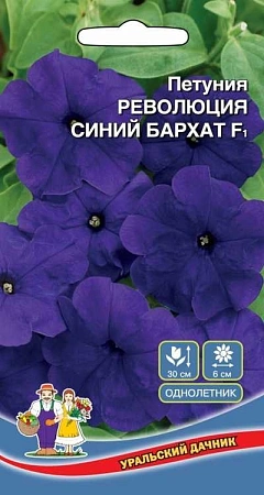 Петуния Революция Синий Бархат F1 (УД)