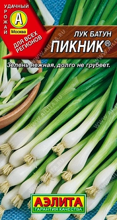Лук батун Пикник 1 г (АЭЛИТА) Лук батун Пикник 1 г (АЭЛИТА)