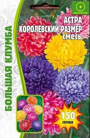 Астра Королевский размер, смесь 150 шт (Ред сем)