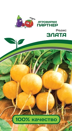 Редис Злата, 2 г (ПАРТНЕР)