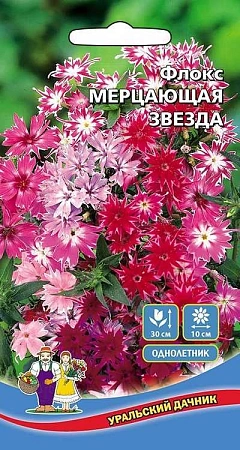 Флокс Мерцающая звезда (УД) Флокс Мерцающая звезда (УД)