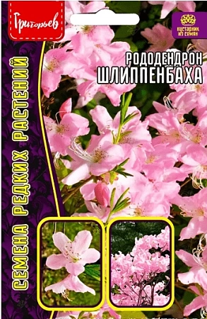 Рододендрон Шлипенбаха, 0,01 г (Ред сем)