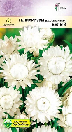 Гелихризум прицветниковый Белый 0,2 г (МССО) Гелихризум прицветниковый Белый 0,2 г (МССО)