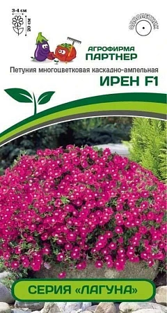 Петуния Ирен F1 серия Лагуна, 5 шт в амп (ПАРТНЕР) Петуния Ирен F1 серия Лагуна, 5 шт в амп (ПАРТНЕР)