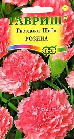 Гвоздика шабо Розина 0,1 г Гвоздика шабо Розина 0,1 г