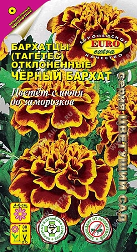 Бархатцы Черный бархат отклоненные 0,1 г Бархатцы Черный бархат отклоненные 0,1 г