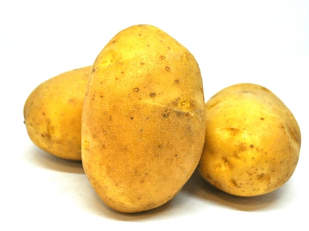 Картофель Миа семенной (элита), 5 кг