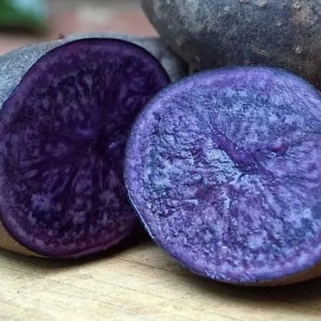 Картофель Сапфир семенной (1-я репродукция), 5 кг