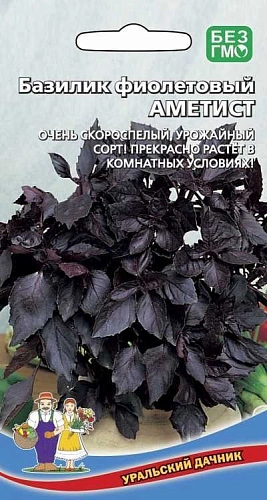 Базилик Аметист фиолетовый (УД) Базилик Аметист фиолетовый (УД)